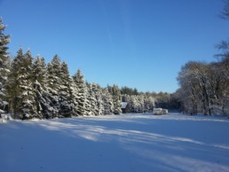 Reeëndal — photo 4